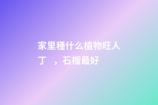家里種什么植物旺人丁，石榴最好